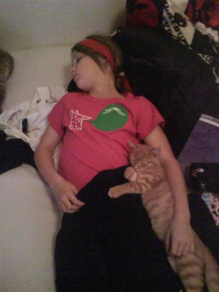 Blanding af racer Spicey Salsa R.I.P ;'/ - hun ligger lige og sover med mig (: billede 8