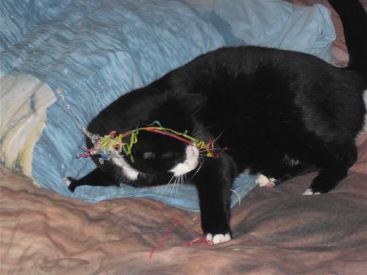 Huskat James Bond  - Nyt års aften 2009 billede 1