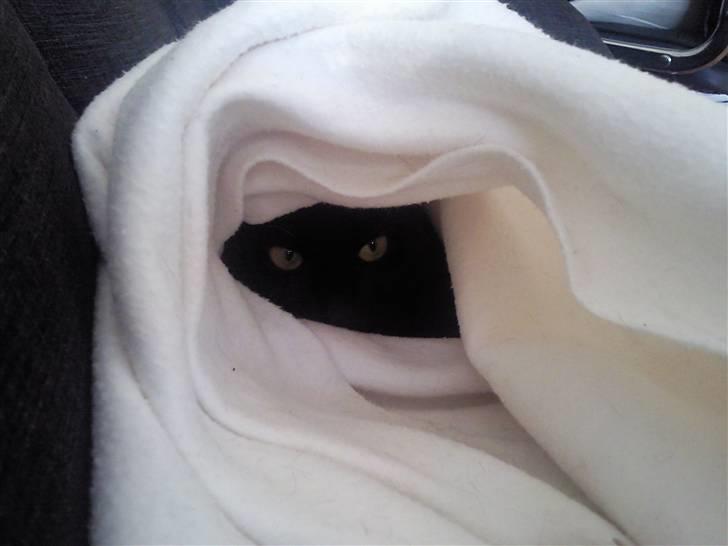 Huskat Mille - her lejer jeg gemme lej med min mor shh... i må ikke sige hvor jeg er  billede 13