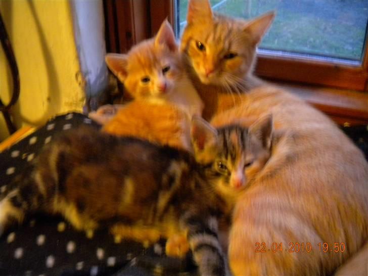 Huskat Lucky Solgt - Her er jeg sammen med min mor og min søster billede 5