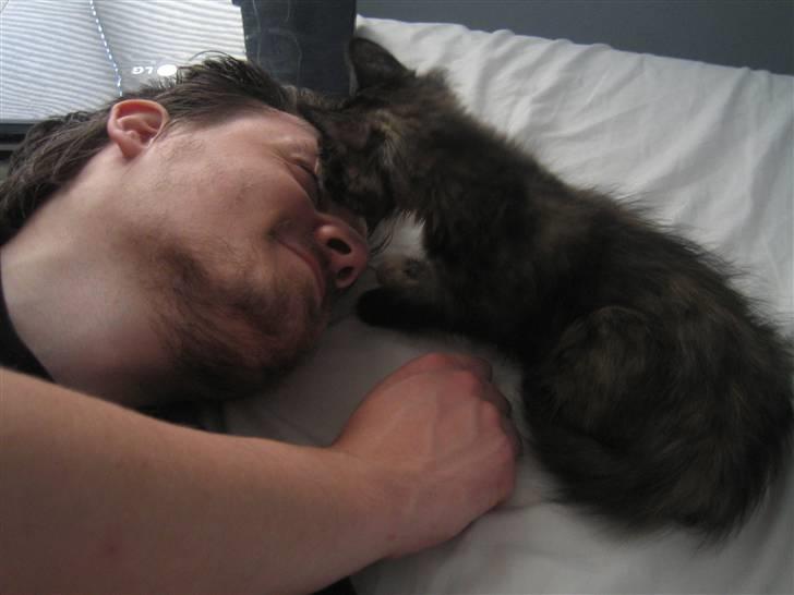 Blanding af racer Bellatrix - Far skal have slikket øjne! billede 14