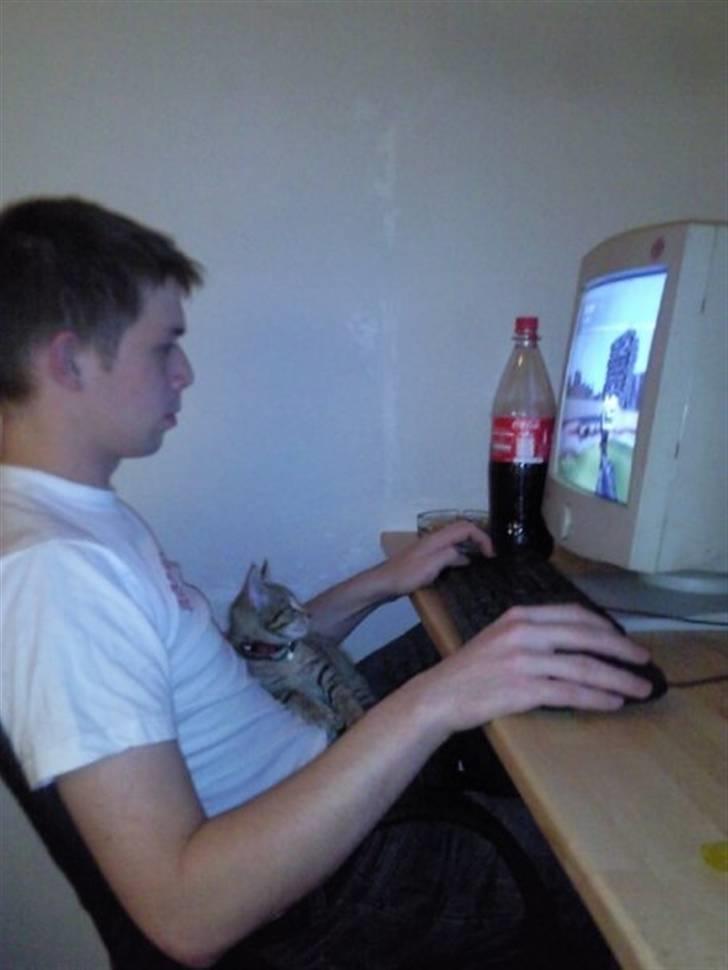 Huskat Mille billede 7