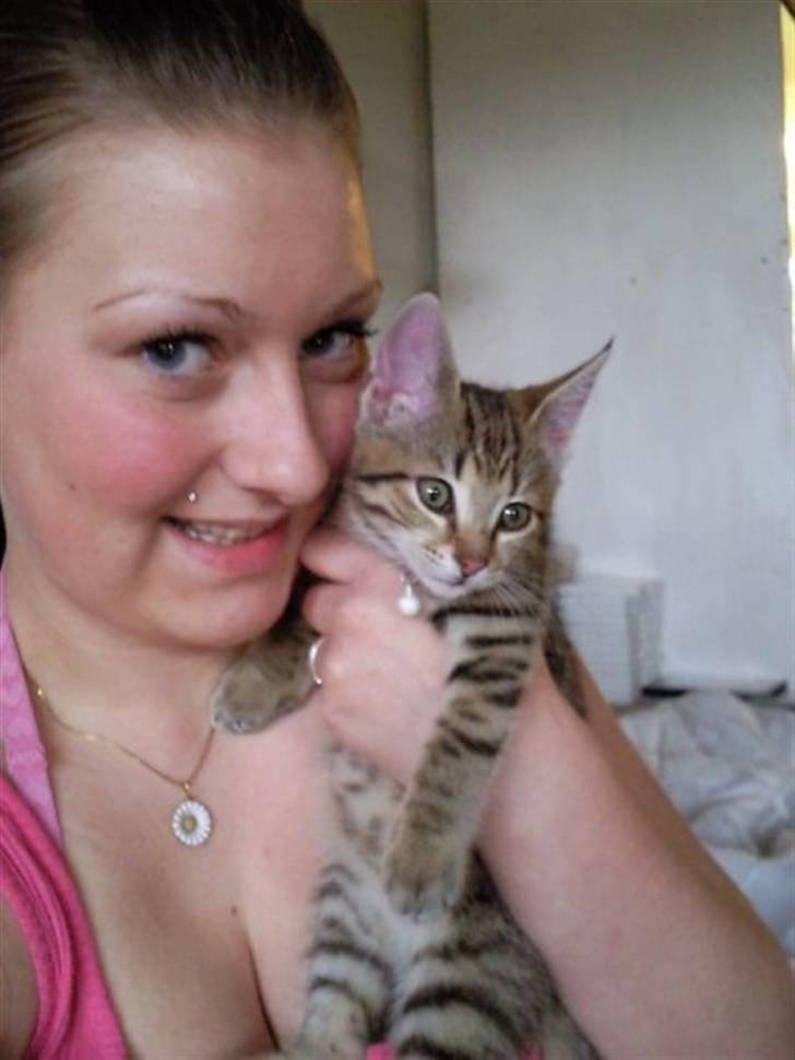 Huskat Mille billede 8