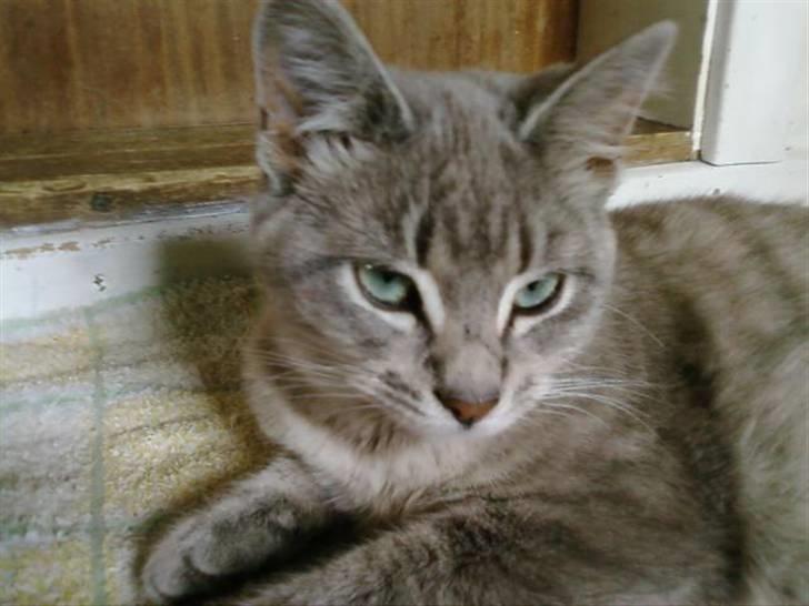 Huskat Fie <3 BORT LØBET - Tak for besøget billede 5