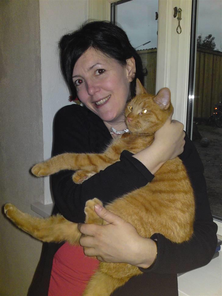 Blanding af racer Midde billede 13