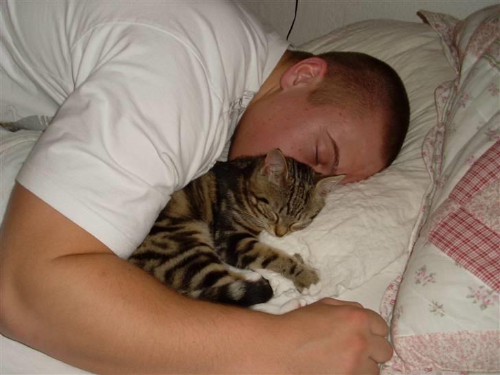 Blanding af racer Alli billede 2