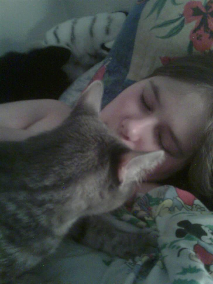 Huskat Mille - sover du mor billede 14