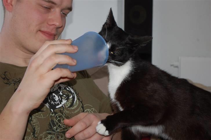 Blanding af racer Smalle - Eeelsker kakao mælk billede 19