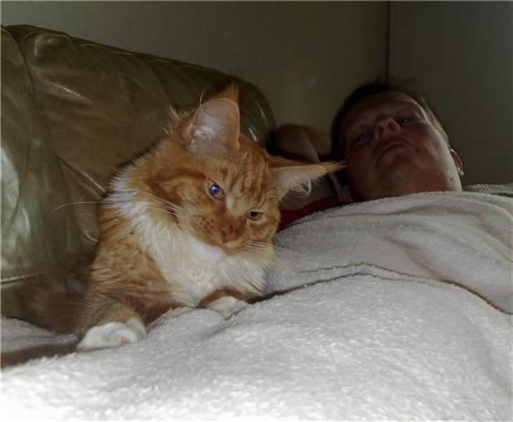 Maine Coon Hugo Boss - Hygge  <3 billede 2