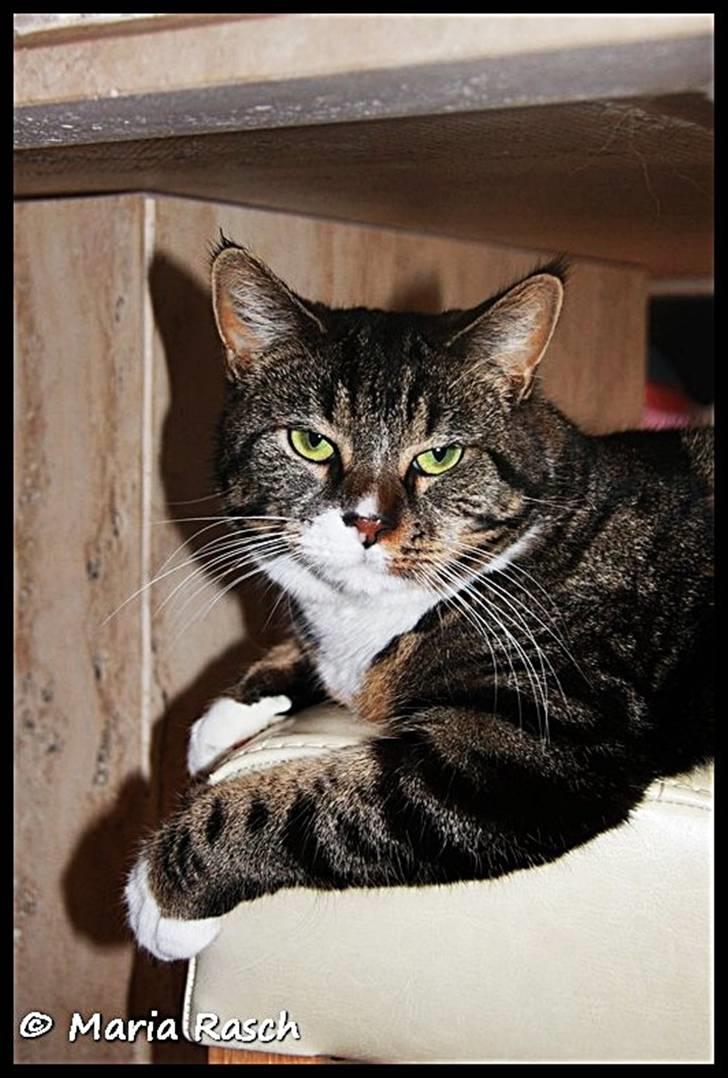 Huskat Emma *mors* billede 2