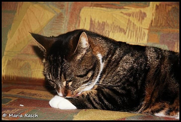 Huskat Emma *mors* billede 4