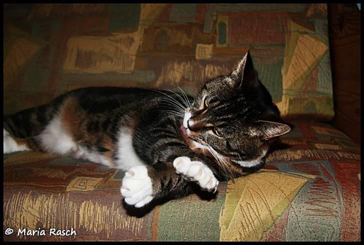 Huskat Emma *mors* billede 5