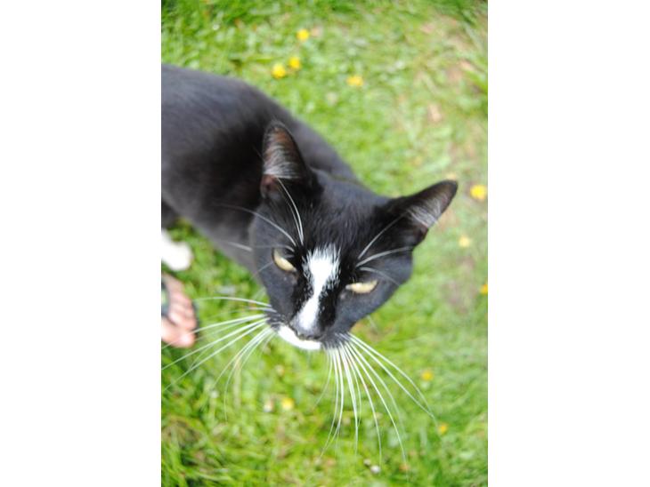 {{currentPhoto.altText}} billede {{currentPhoto.number}}