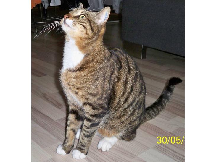 {{currentPhoto.altText}} billede {{currentPhoto.number}}