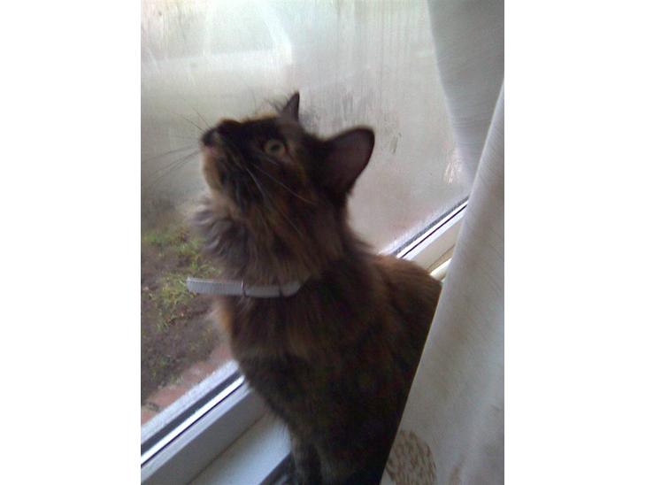 {{currentPhoto.altText}} billede {{currentPhoto.number}}