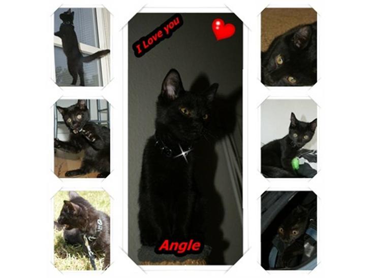 {{currentPhoto.altText}} billede {{currentPhoto.number}}