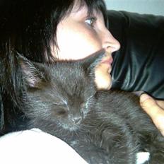 Blanding af racer Piv Piv