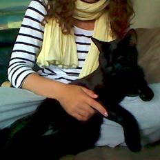 Blanding af racer Murphy