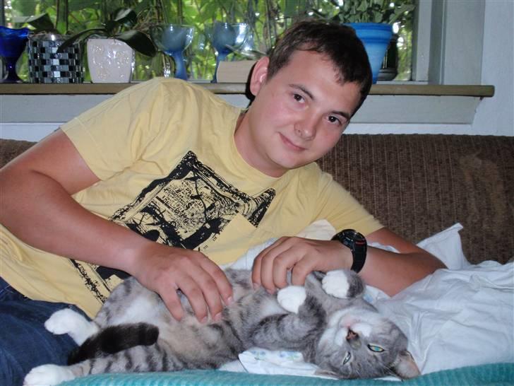 Huskat Pipsen billede 10