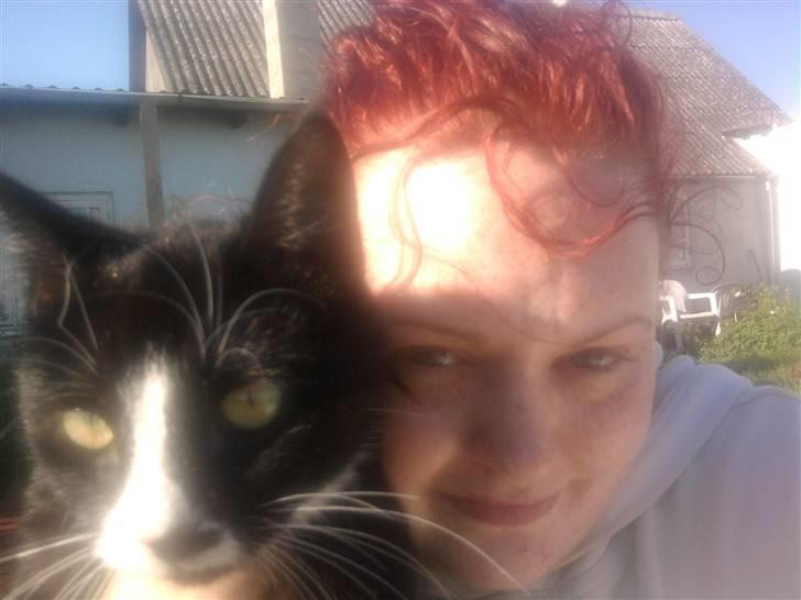 Huskat Ulla aka ulle - Mig og ulle d. 12 juni 2010 billede 7