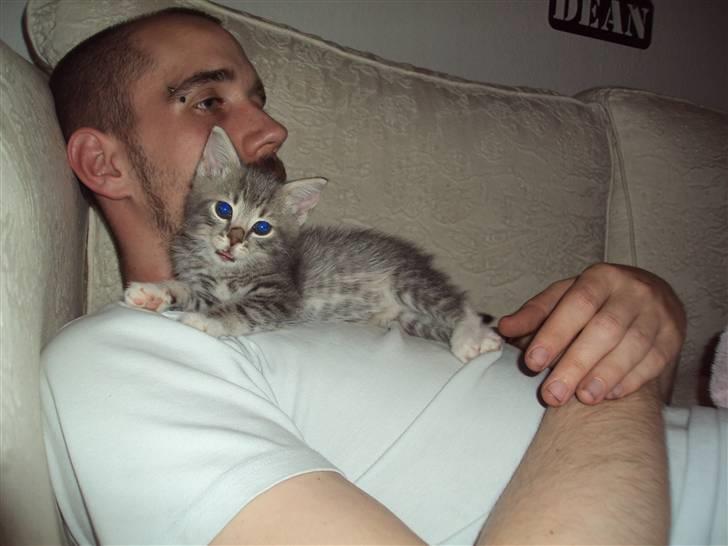 Huskat Mis Pyt billede 5