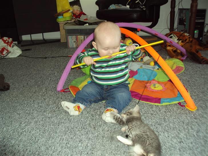 Huskat Mis Pyt billede 9