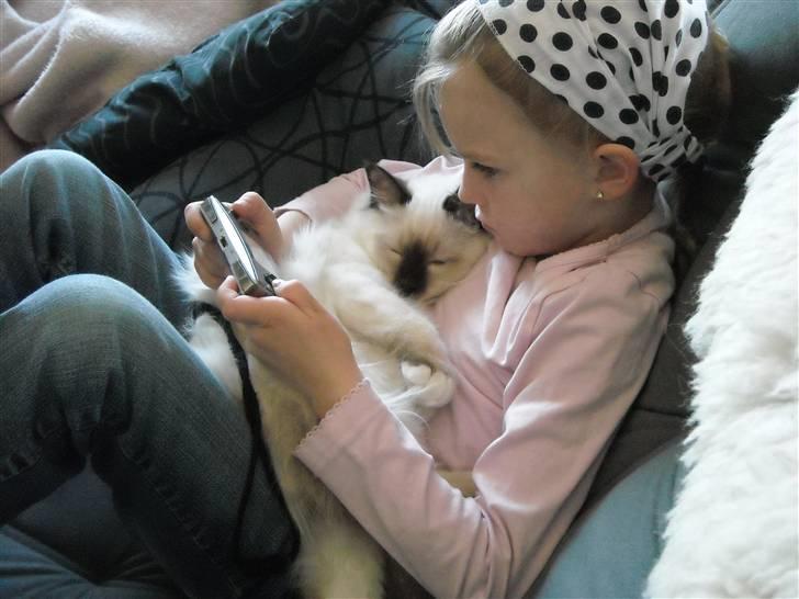 Hellig Birma Gazali's Zahira billede 11