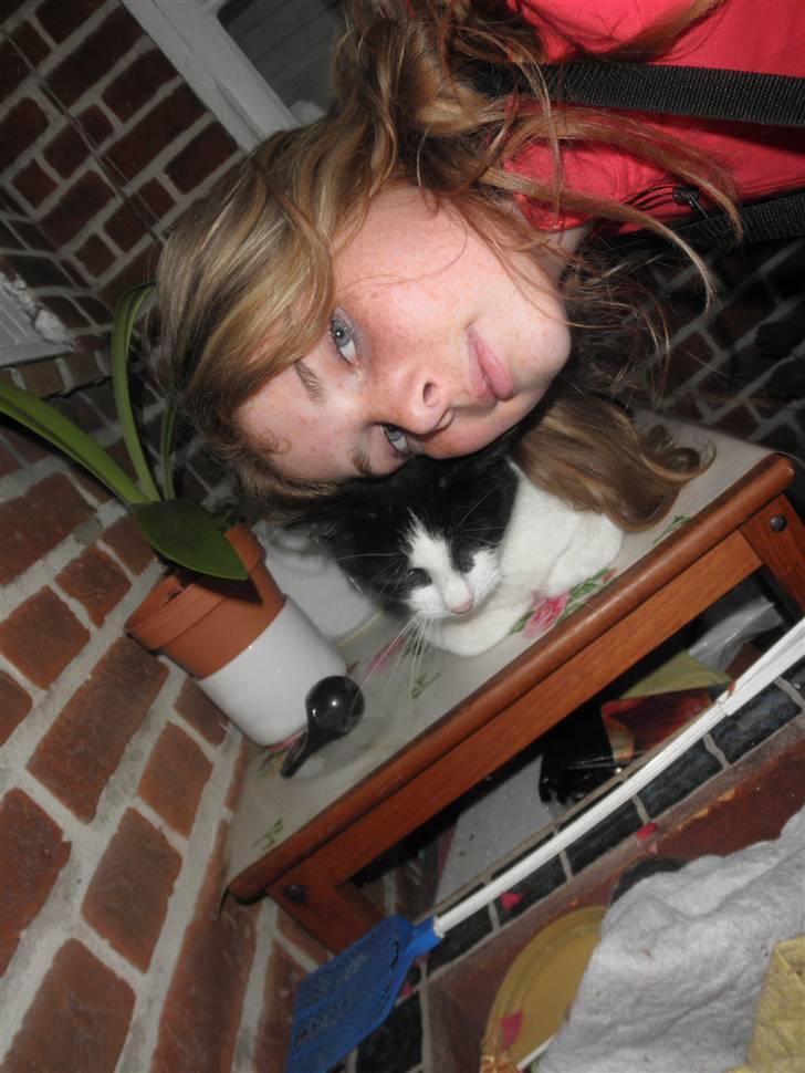 Huskat Brandy - Løbet væk billede 17