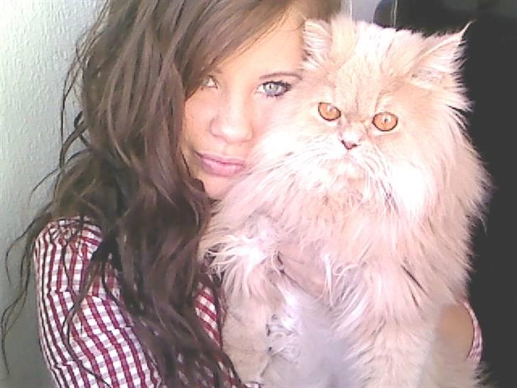 Perser Giorgio (RIP 2012) - Mor og jeg .. er vi ikk fine ? :D billede 18