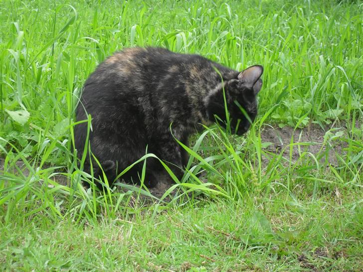 Huskat † Marie † )': - gad vide hvad der er der nede billede 8