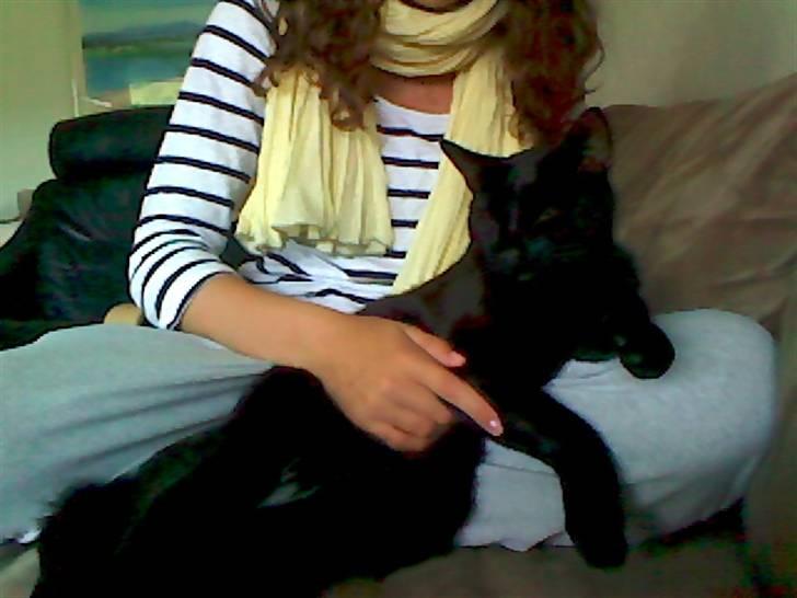 Blanding af racer Murphy billede 2