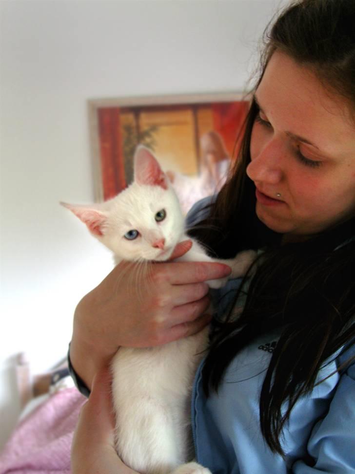 Huskat Snoop billede 1