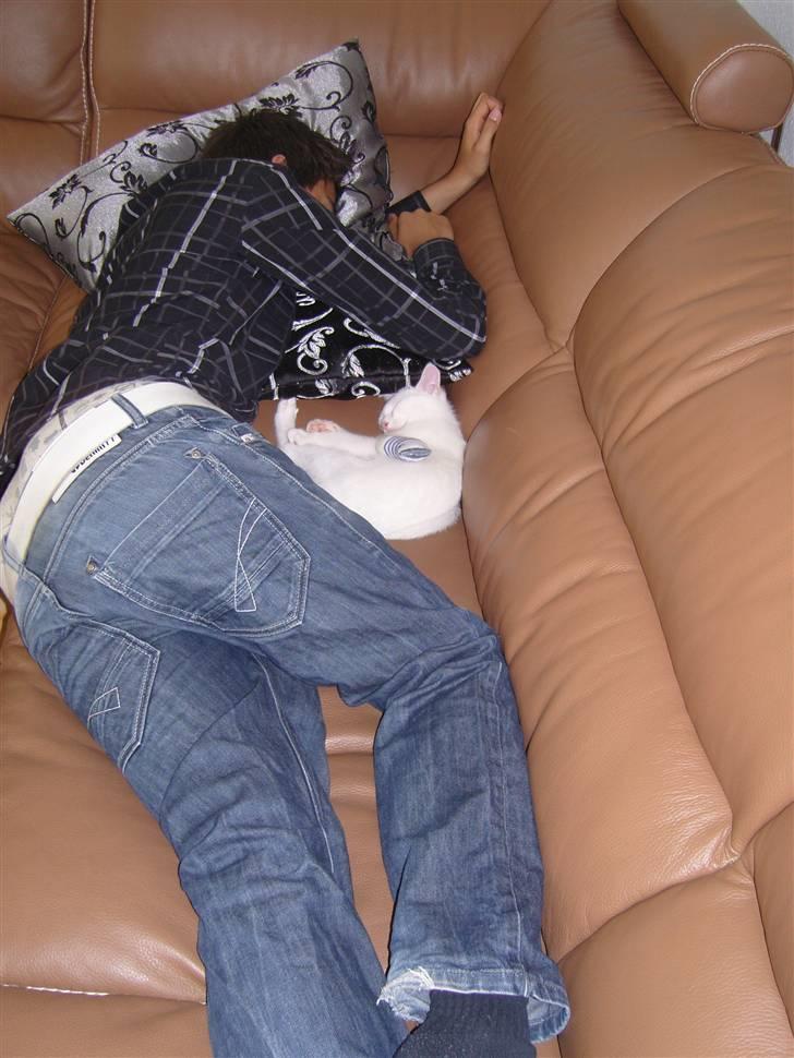 Huskat Snoop billede 11