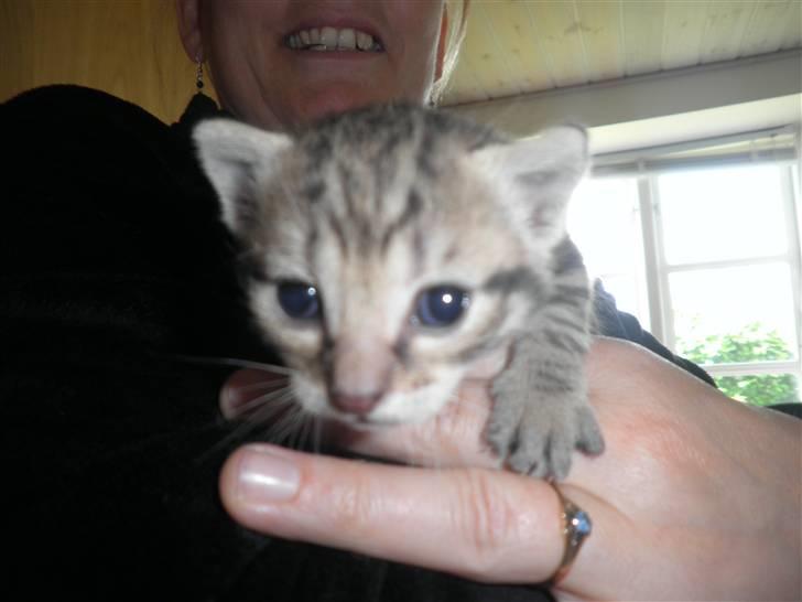 Huskat FredeBo's Mislinn - Hejsa se mor jeg kan flyve xD billede 5