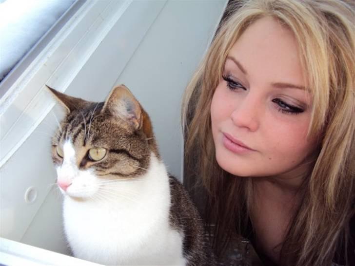 Blanding af racer Darling billede 3