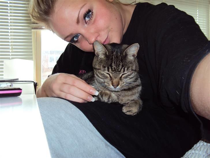 Blanding af racer Darling billede 4