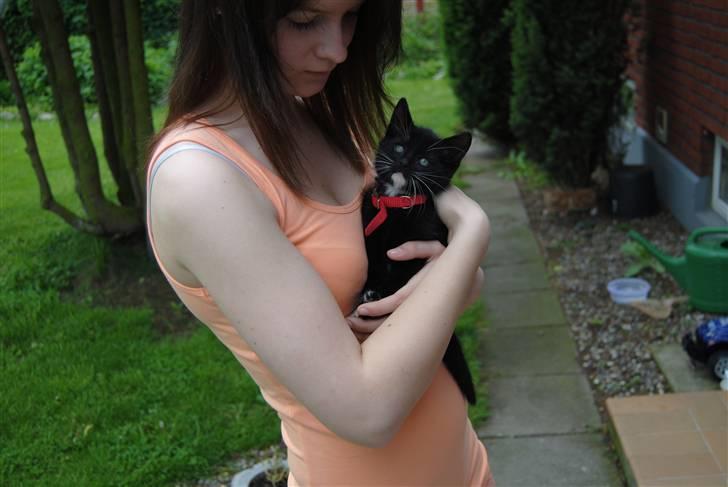 Huskat Romeo' a stribs billede 10