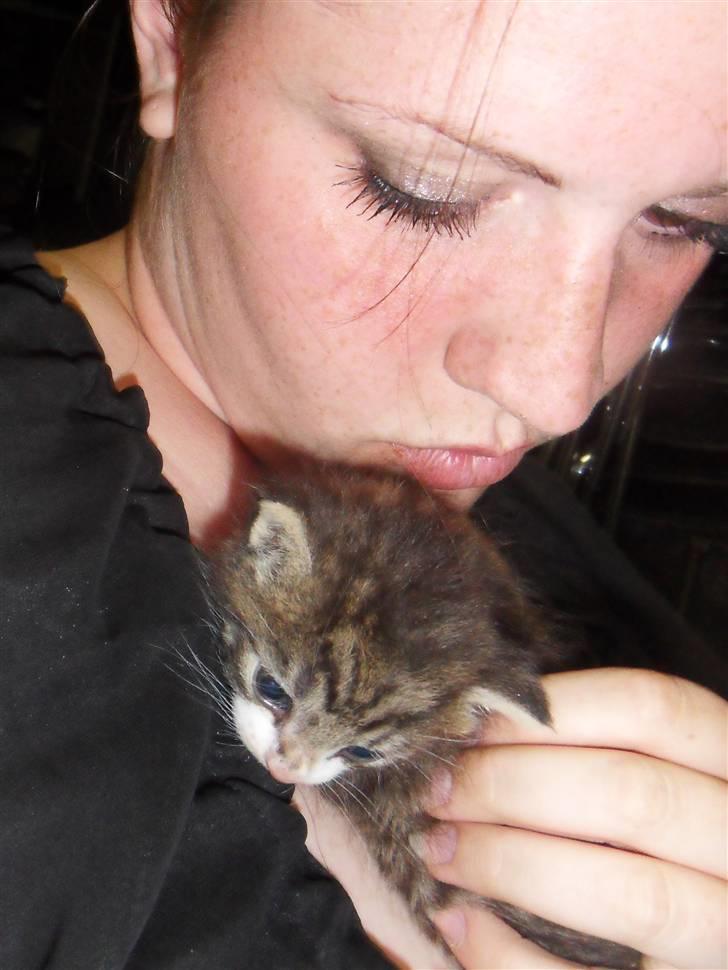 Blanding af racer Hector - Hector med sin kommende menneske-mor billede 2