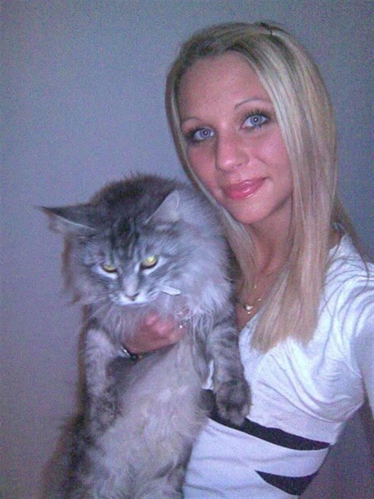 Maine Coon Mille billede 3