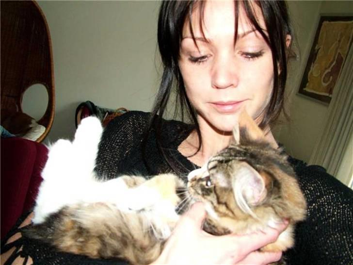 Norsk Skovkat Maggie - Maggie & mig billede 6