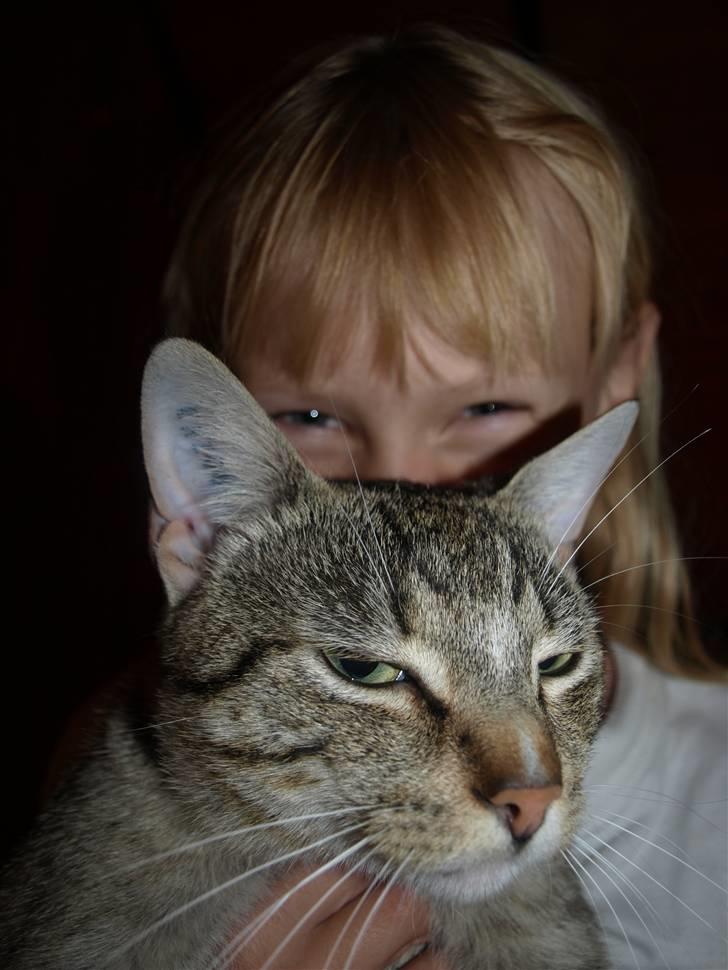 Blanding af racer Oliver billede 4