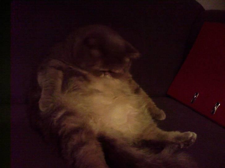 Exotic Margrethe - margrethe faldt i søvn... billede 9