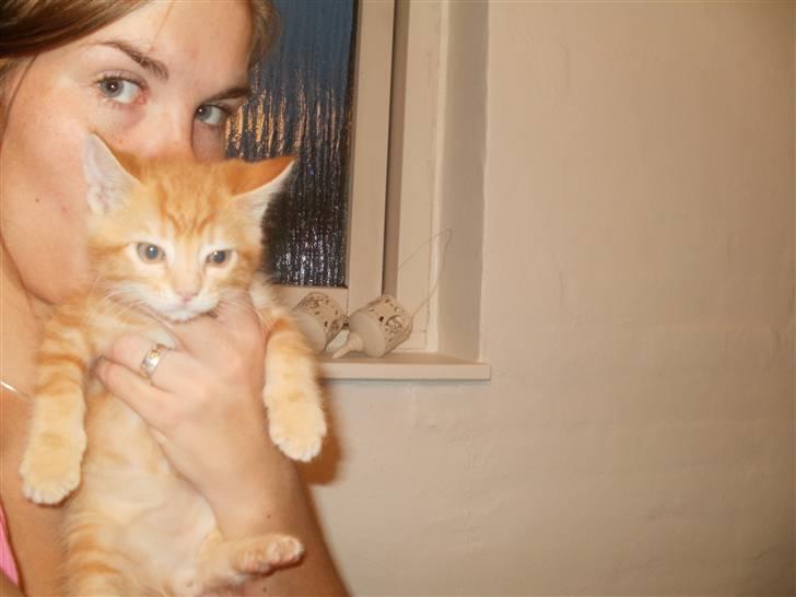 Blanding af racer Mathias billede 5