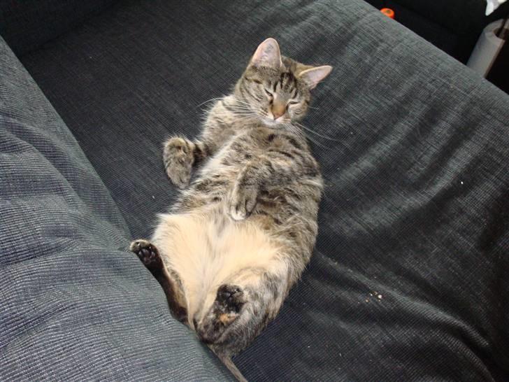 Huskat Maddi - *En eller anden nus mig*  billede 4