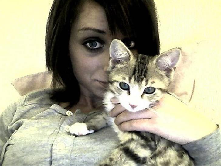 Huskat Ketil billede 2