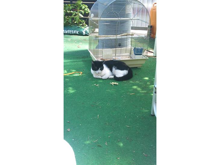 {{currentPhoto.altText}} billede {{currentPhoto.number}}