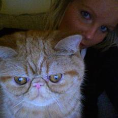 Exotic Alomi's Mikkel