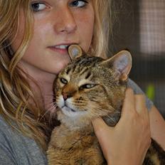 Blanding af racer Hugo Boss