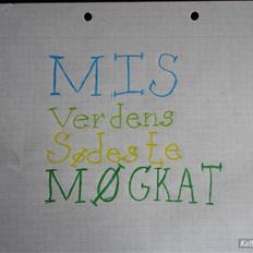 Blanding af racer Mis, Møgkat