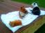 Norsk Skovkat Garfield - 4) Garfield hygger med dræberhundene(: | © MichelleGreveNielsen 2010 - Intet må kopieres uden min tilladelse! | 